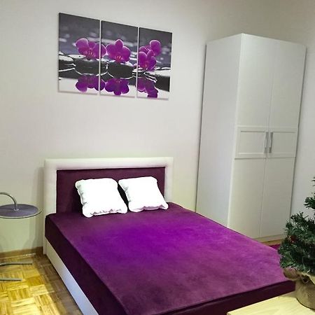 Apartment Mia 贝尔格莱德 客房 照片